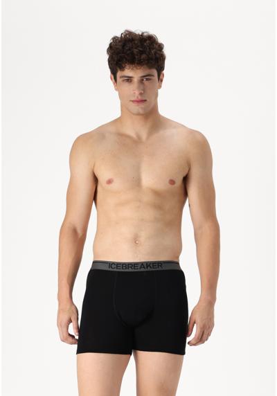 Трусы MEN MERINO 150 ANATOMICA BOXERS WFLY