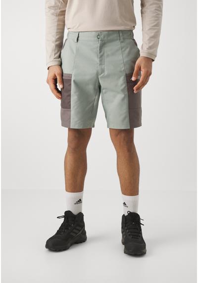 Шорты CARGO DWR SHORT