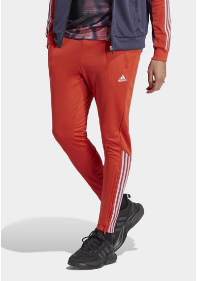 Брюки TIRO PANT